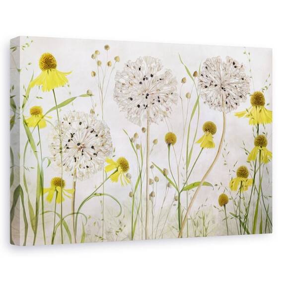Tablou canvas - Allium si helenium, Natura moarta, Flori, Camp, Gradina - - Roveli