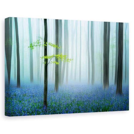 Tablou canvas - Padurea albastra, Peisaj, Ceata, Vara, Flori, Marime: 80 x 120 cm - - Roveli