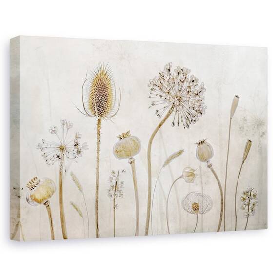 Tablou canvas - imbatranind, Spre apusul vietii, Natura moarta, Toamna, Flori, Seminte - - Roveli