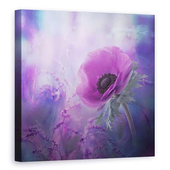 Tablou Canvas - Ecstasy, Violet, Floare, Ecstasy, Flori, Flora, Marime: 90 x 90 cm - - Roveli