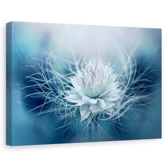 Tablou canvas - Dragoste in ceata, Flori, Primavara, Turcoaz, Albastru, Marime: 80 x 120 cm - - Roveli