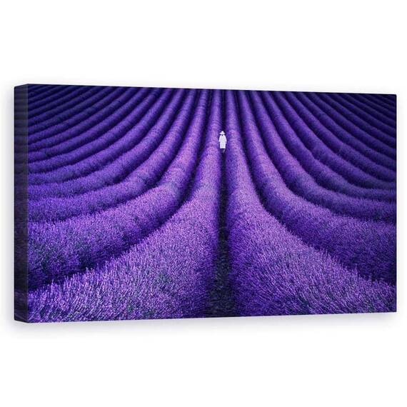 Tablou Canvas - Ea, Violet, Lavanda, Perspectiva, Femeie, Peisaj, Marime: 50 x 100 cm - - Roveli