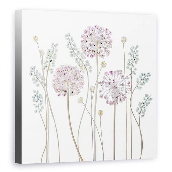 Tablou Canvas - Allium, Floral, Muscari, Seedpods, Flori - - Roveli