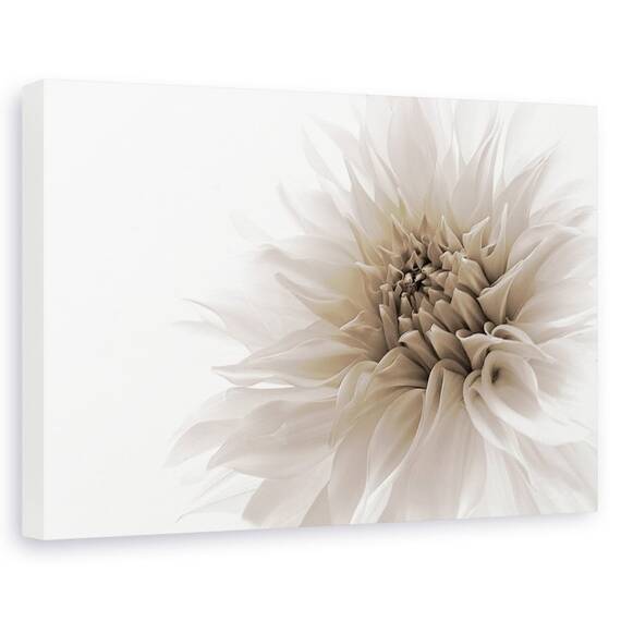 Tablou canvas - Demnitate, Flori, Flori, Luminos, Alb, Marime: 80 x 120 cm - - Roveli