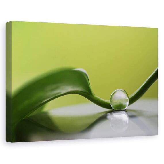 Tablou canvas - Armonie verde, Natura moarta, Frunza, Verde, Reflectie - - Roveli
