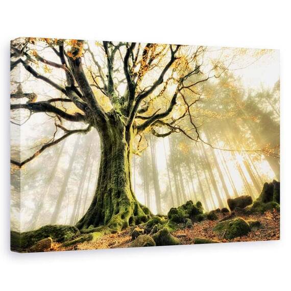 Tablou canvas - Noiembrie, Flori, Galben, Copac, Soare, Marime: 80 x 120 cm - - Roveli
