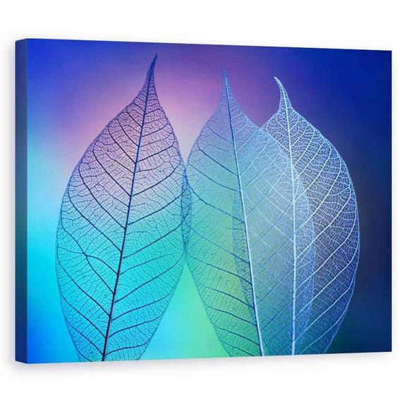 Tablou Canvas - Frunze Prismatice, Macro, Linii, Culori, Delicat, Albastru, Elegant - - Roveli