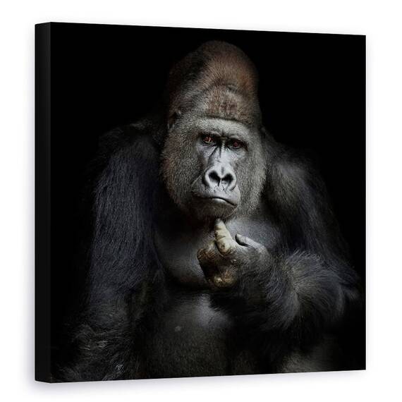 Tablou Canvas - Imho ...., Gorila, Grijuliu, Puternic, Contemplare, Ganditor, Marime: 90 x 90 cm - - Roveli