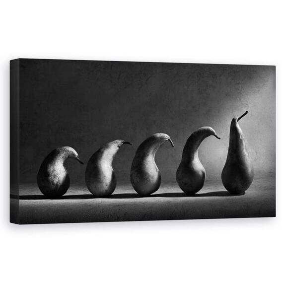 Tablou Canvas - Evolutia, Linie, Coada, Alb-Negru, Fructe, Pere, Evolutie, Marime: 50 x 100 cm - - Roveli