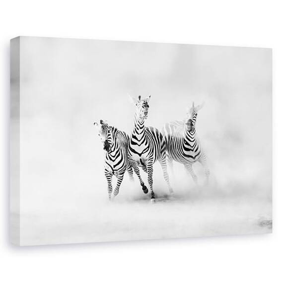 Tablou canvas - Zebre, Natura, Trio, Linii - - Roveli