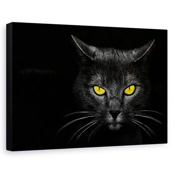 Tablou canvas - Ucigasul de monstri, Animal, Pisica, Galben - - Roveli