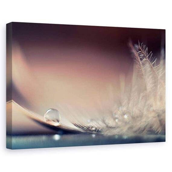 Tablou canvas - Povestea picaturilor, Flori, Pene, Moale, Delicat, Marime: 80 x 120 cm - - Roveli