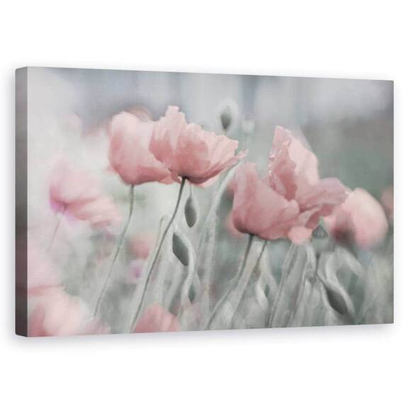 Tablou Canvas - Incet, Floare, Vara, Romantic, Gradina, Roz, Mac, Marime: 50 x 80 cm - - Roveli