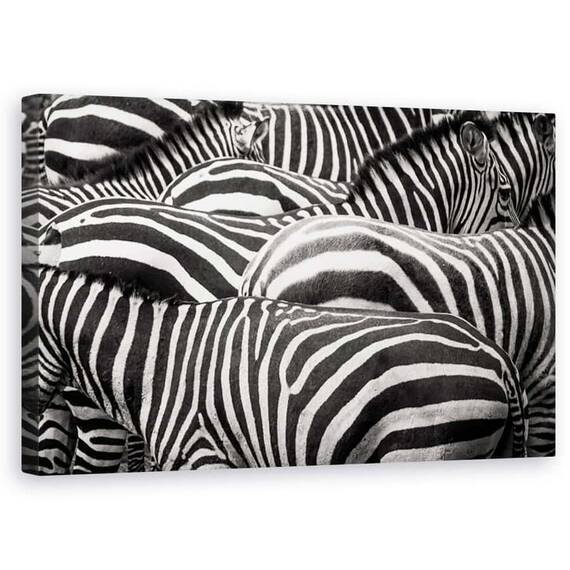 Tablou Canvas - Impreuna, Zebra, Dungi, Linii, Marime: 50 x 80 cm - - Roveli