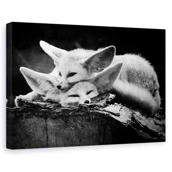 Tablou canvas - Cuplul fericit, Animal, Odihna, imbratisare, Bucurie - - Roveli