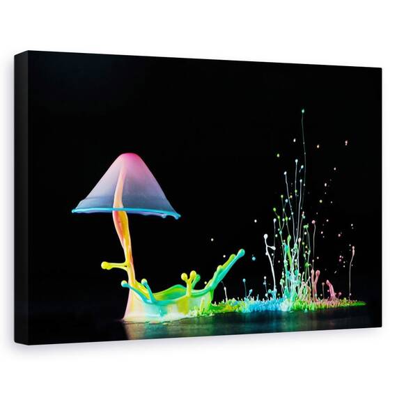 Tablou canvas - Simfonia culorilor, Natura moarta, Abstract, Colorat, Picaturi - - Roveli