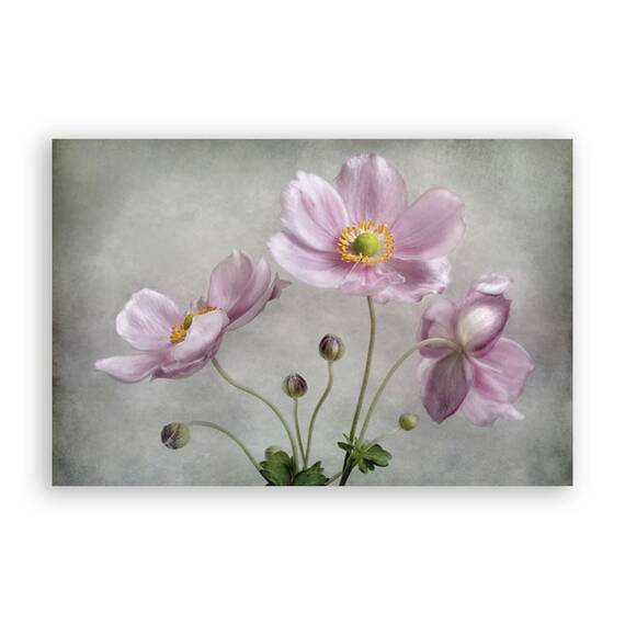 Tablou Canvas - Floral, Flori, Primavara, Roz, Pictura, Marime: 80 x 120 cm - - Roveli