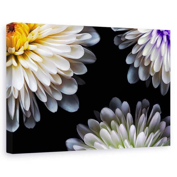 Tablou canvas - Triada, Natura moarta, Petale, Geometrie, Simplitate - - Roveli