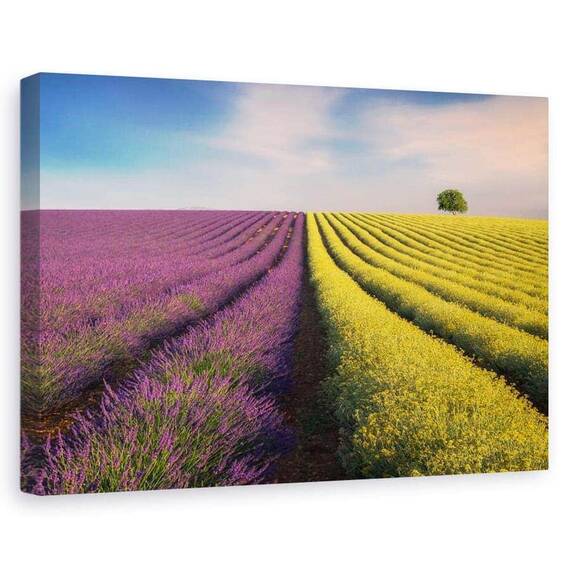 Tablou canvas - Violet si galben, Peisaj, Linii, Galben, Violet, Marime: 80 x 120 cm - - Roveli