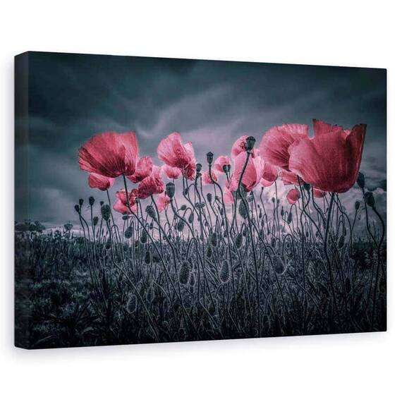 Tablou canvas - Maci, Flori, Rosu, Roz, Marime: 80 x 120 cm - - Roveli