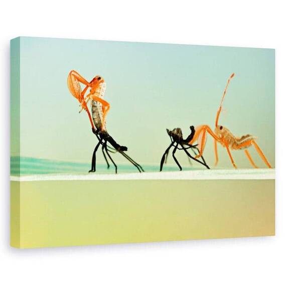 Tablou canvas - Re-nascut, Flori, Insecte, Portocaliu, Marime: 80 x 120 cm - - Roveli