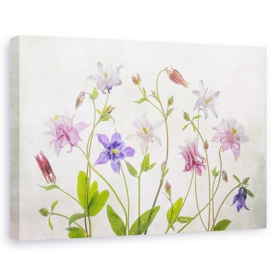 Tablou canvas - Columbine, Natura moarta, Culori Pastelate, Flori, Marime: 80 x 120 cm - - Roveli