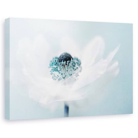 Tablou canvas - Vata pe bat, Natura moarta, Flori, Turcoaz, Abstract - - Roveli