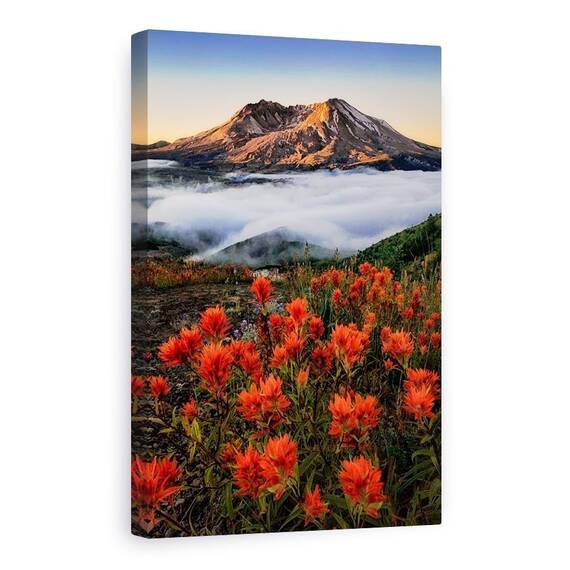 Tablou Canvas - Inflorit, Rasarit De Soare, Munte, Floare, Ceata, Dimineata, Marime: 80 x 120 cm - - Roveli