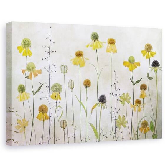 Tablou canvas - Helenium, Natura moarta, Botanica, Galben, Textura - - Roveli