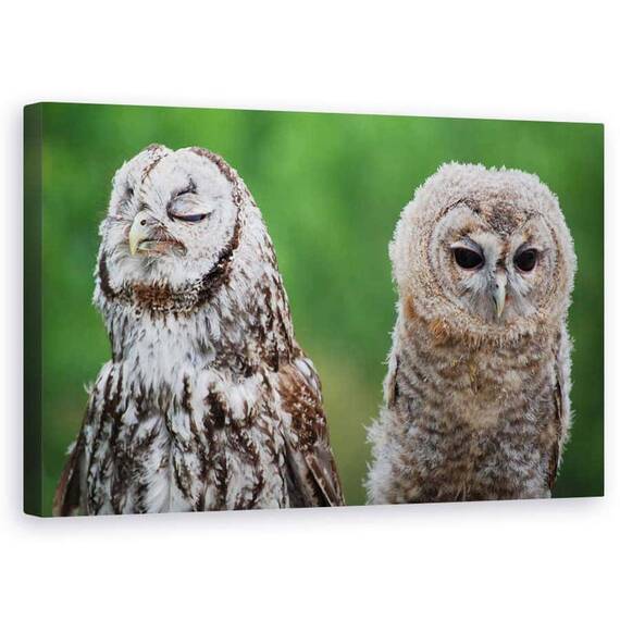 Tablou Canvas - Nu Mai Vorbesc Cu Tine, Marime: 50 x 80 cm - - Roveli