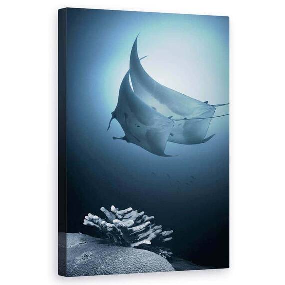 Tablou Canvas - Sonata, Marime: 50 x 80 cm - - Roveli