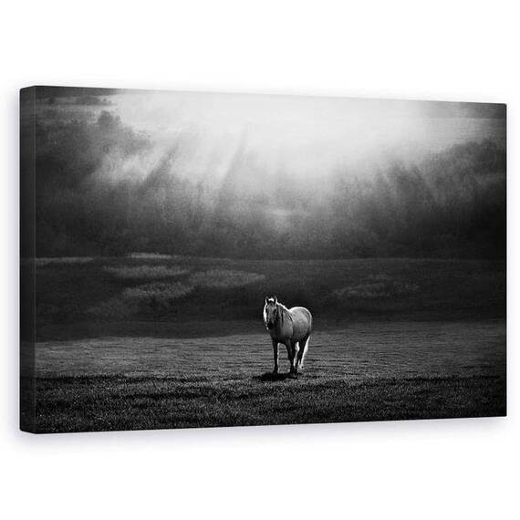 Tablou Canvas - Ivirea Diminetii - - Roveli