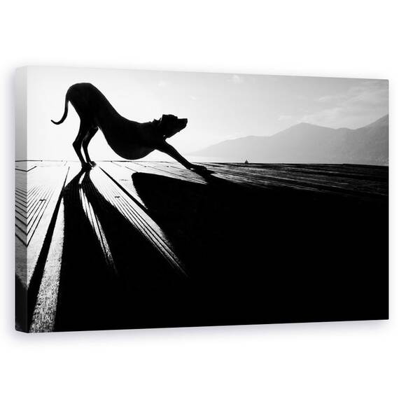Tablou Canvas - Salutul Soarelui, Marime: 50 x 80 cm - - Roveli