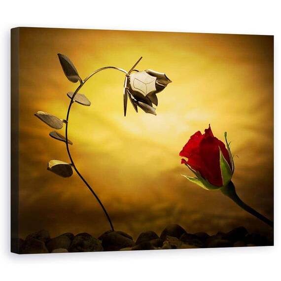 Tablou Canvas - Contrariile Se Atrag, Marime: 60 x 75 cm - - Roveli