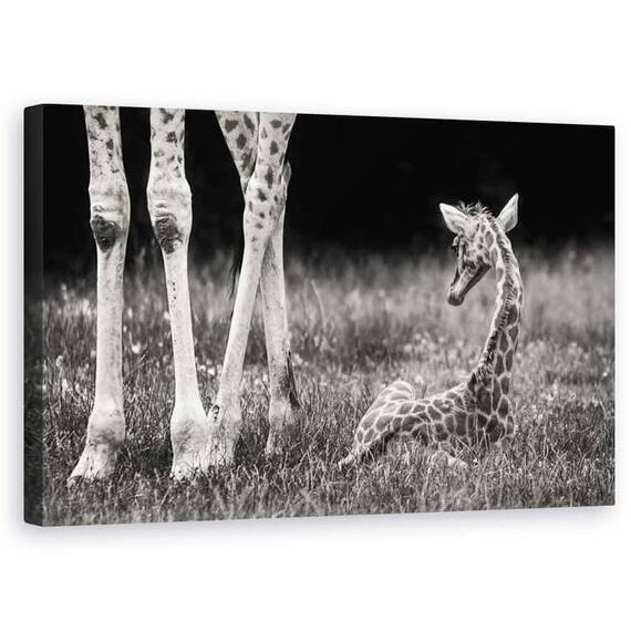 Tablou Canvas - Protejat, Marime: 50 x 80 cm - - Roveli
