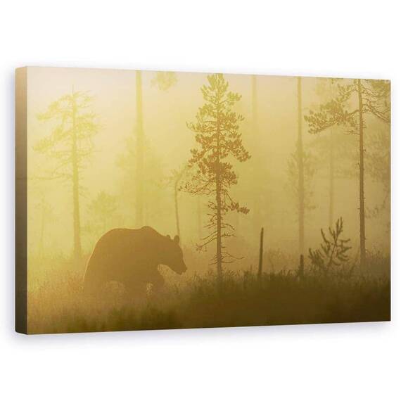Tablou Canvas - Ceata Matinala, Marime: 50 x 80 cm - - Roveli