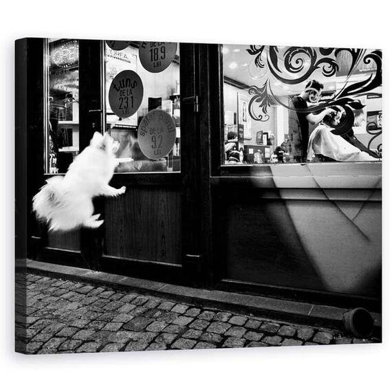 Tablou Canvas - Ultimul Client, Marime: 60 x 75 cm - - Roveli