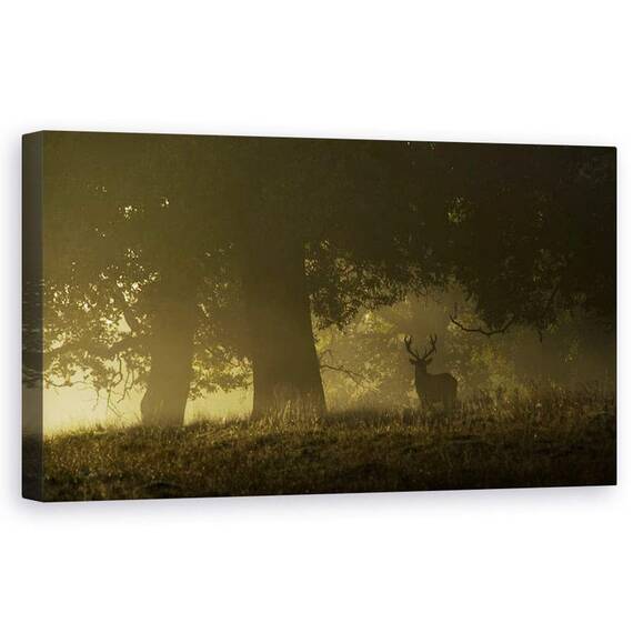 Tablou Canvas - Rasarit De Soare Magic, Marime: 50 x 100 cm - - Roveli