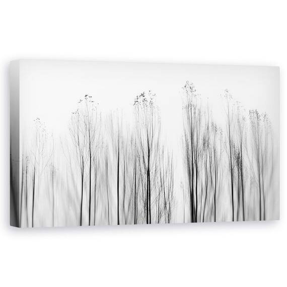 Tablou Canvas - Fara Motiv - - Roveli