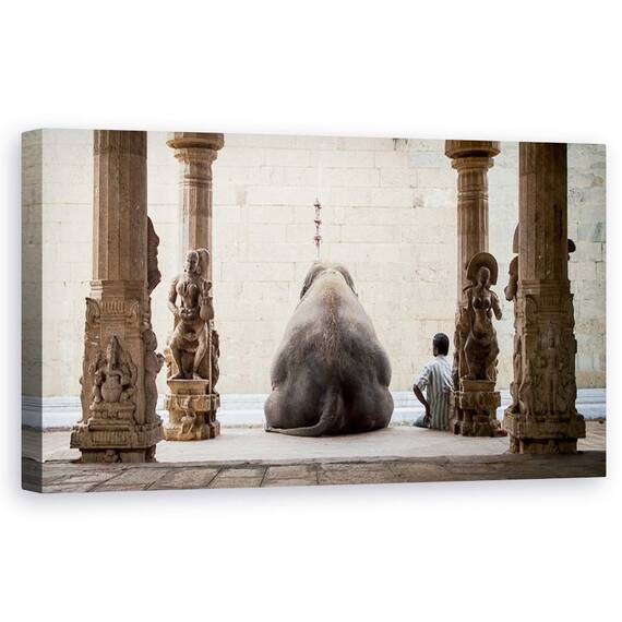 Tablou Canvas - Elefantul Si Mahotul Sau, Marime: 50 x 100 cm - - Roveli