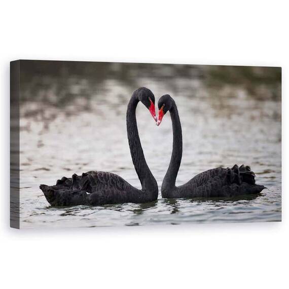 Tablou Canvas - In Dragoste, Marime: 50 x 100 cm - - Roveli