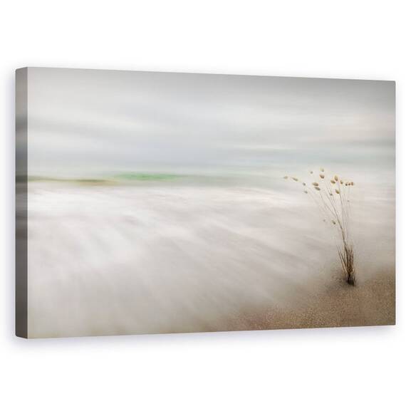 Tablou Canvas - Urechi In Mare - - Roveli