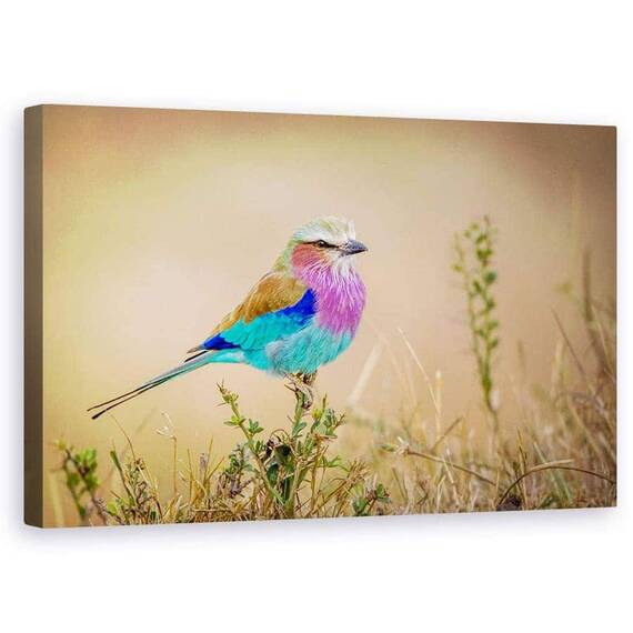 Tablou Canvas - Curcubeu Zburator, Marime: 50 x 80 cm - - Roveli
