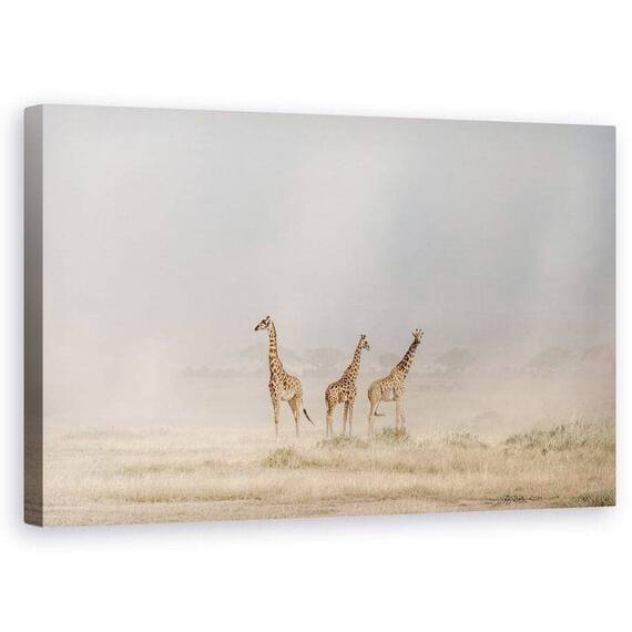 Tablou Canvas - Imprastierea Diavolilor De Praf In Amboseli, Marime: 50 x 80 cm - - Roveli