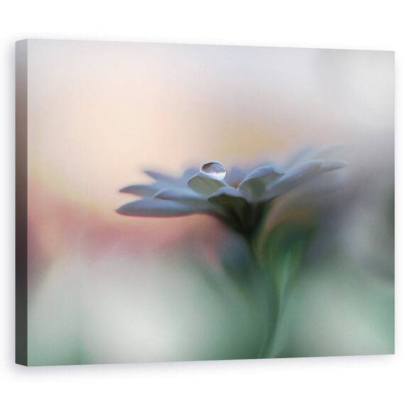 Tablou Canvas - Ochii Luminii, Marime: 60 x 75 cm - - Roveli