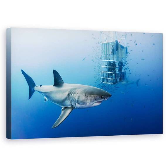 Tablou Canvas - Animale In Cusca, Marime: 50 x 80 cm - - Roveli