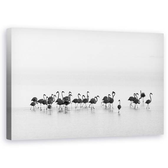 Tablou Canvas - Flamingo, Marime: 50 x 80 cm - - Roveli