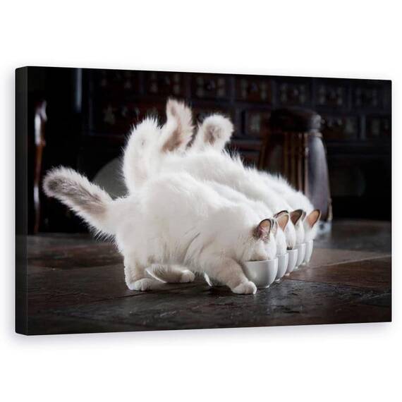 Tablou Canvas - Sa Fie Lapte, Marime: 50 x 80 cm - - Roveli