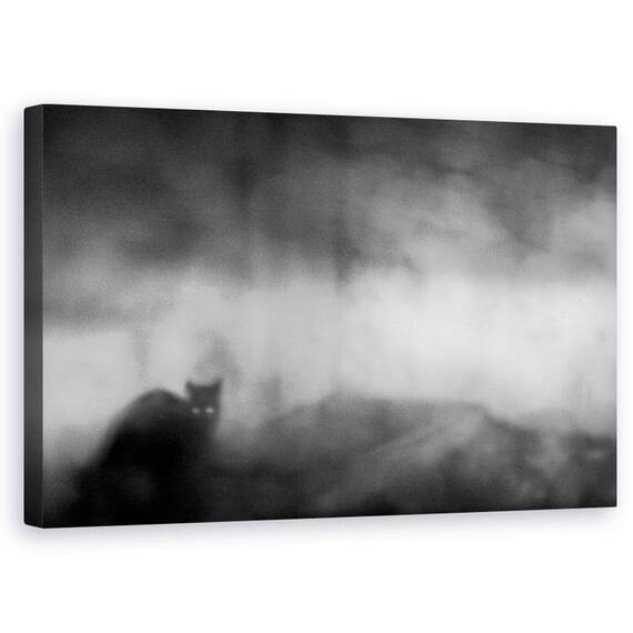 Tablou Canvas - Ceata, Marime: 50 x 80 cm - - Roveli