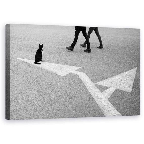 Tablou Canvas - Alegeri, Marime: 50 x 80 cm - - Roveli